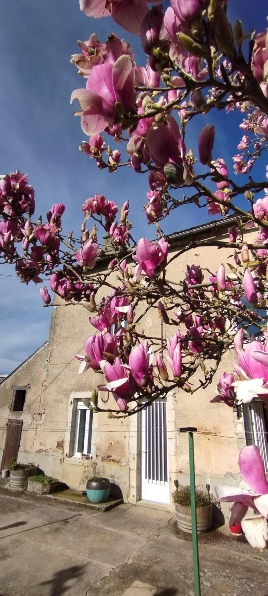 Naucelle Gite L'Esprit Nature מראה חיצוני תמונה