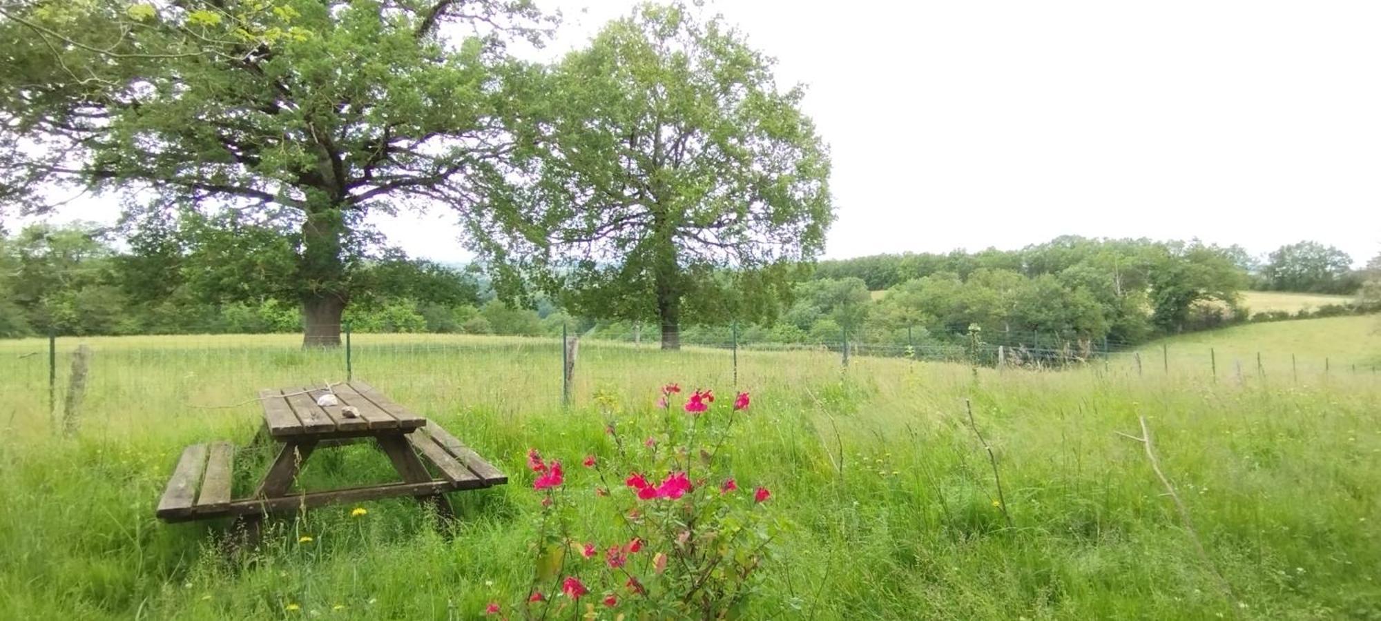 Naucelle Gite L'Esprit Nature מראה חיצוני תמונה